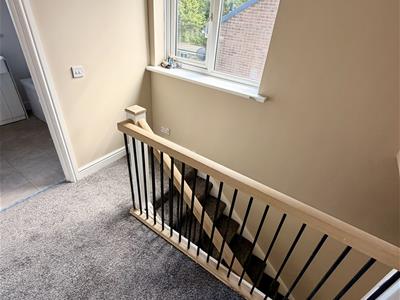 Picture 16